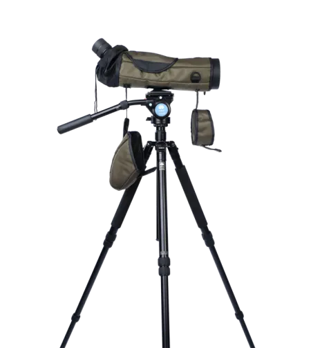 FOCUS VIEWMASTER ED 20-60X80 WP