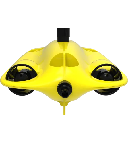 Chasing Gladius Mini S 100m