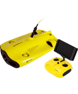 Chasing Gladius Mini 100m