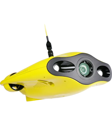 Chasing Gladius Mini 100m