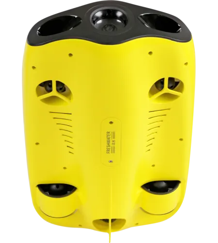 Chasing Gladius Mini 100m