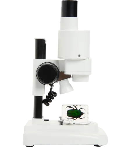 Celestron Labs S20 Stereo Microscope