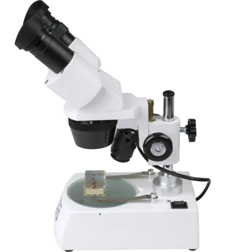 Celestron Labs S10-60 Stereo Microscope