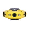 Chasing Dory